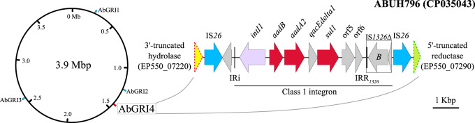 Figure 2.