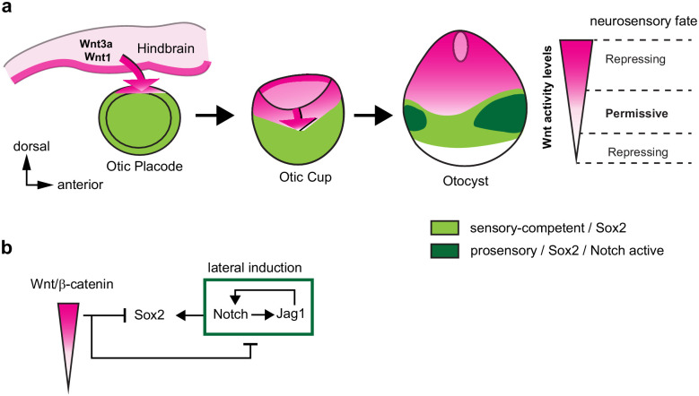 Figure 7.