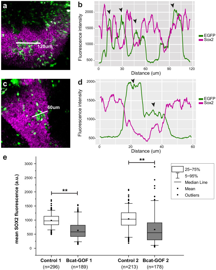 Figure 3—figure supplement 1.