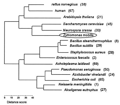 FIG. 3
