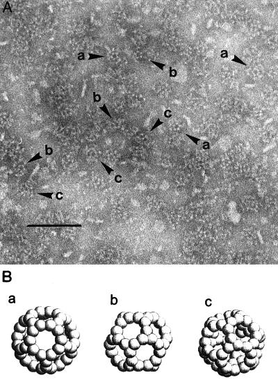 FIG. 6