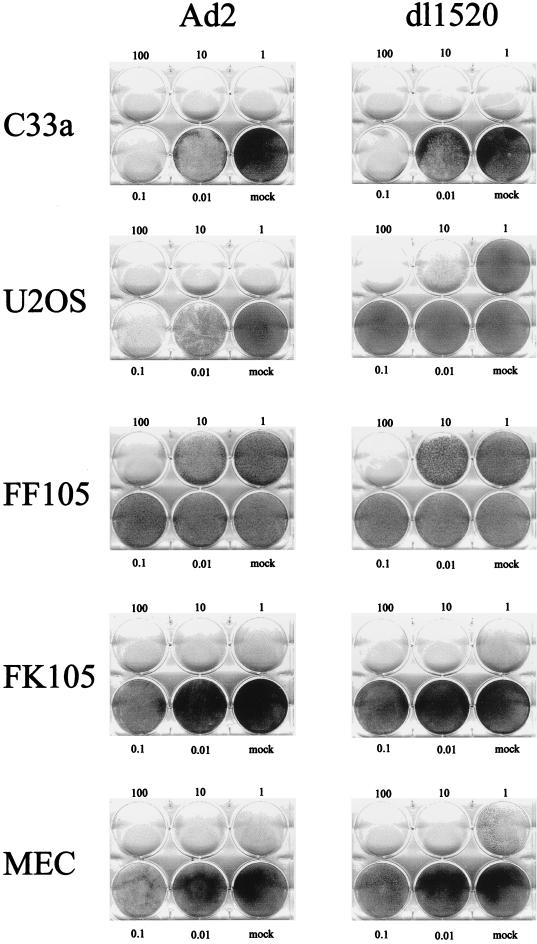 FIG. 3