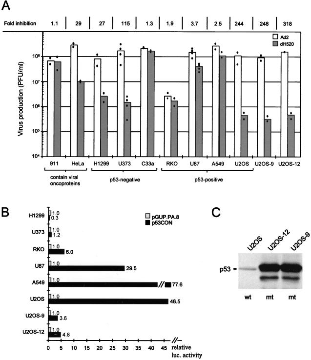 FIG. 1