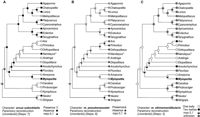 Figure 5