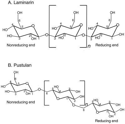 FIG. 9