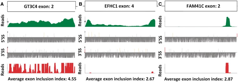 Figure 2.