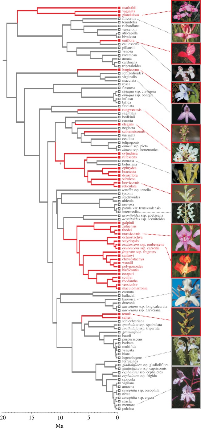 Figure 1.