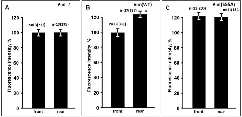 Fig. 8.