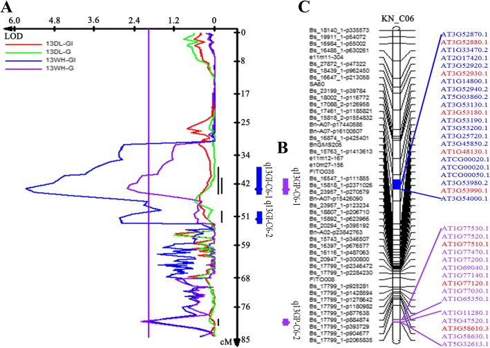 Fig. 9