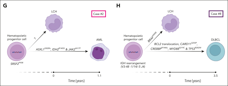 Figure 1.