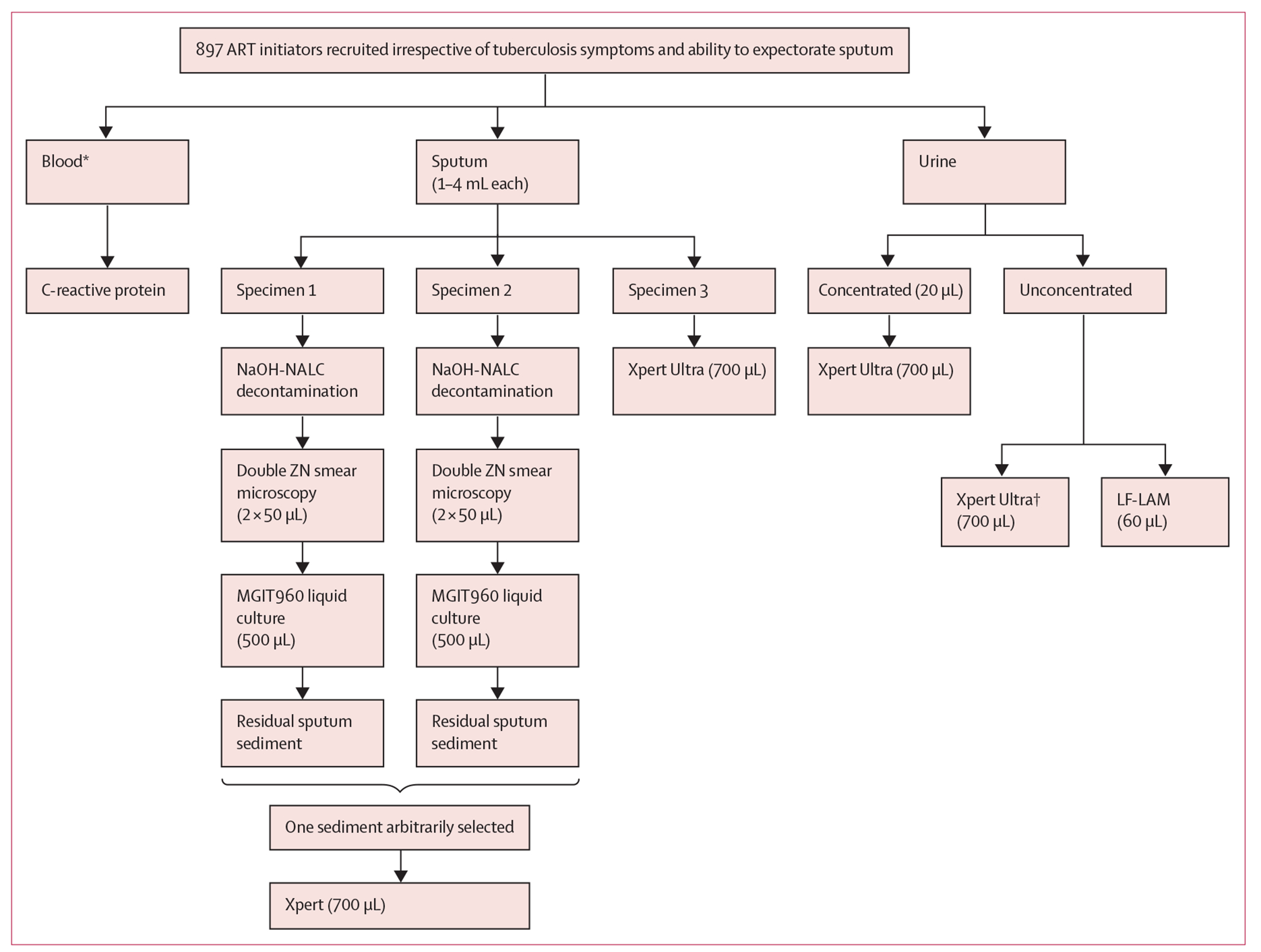 Figure 1: