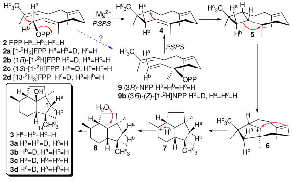 Scheme 2