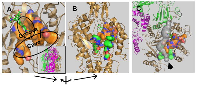 Fig. 2