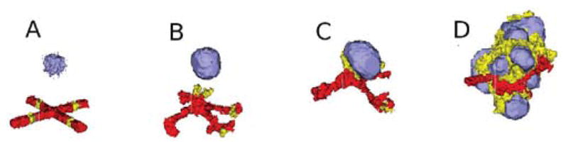 Fig. 17