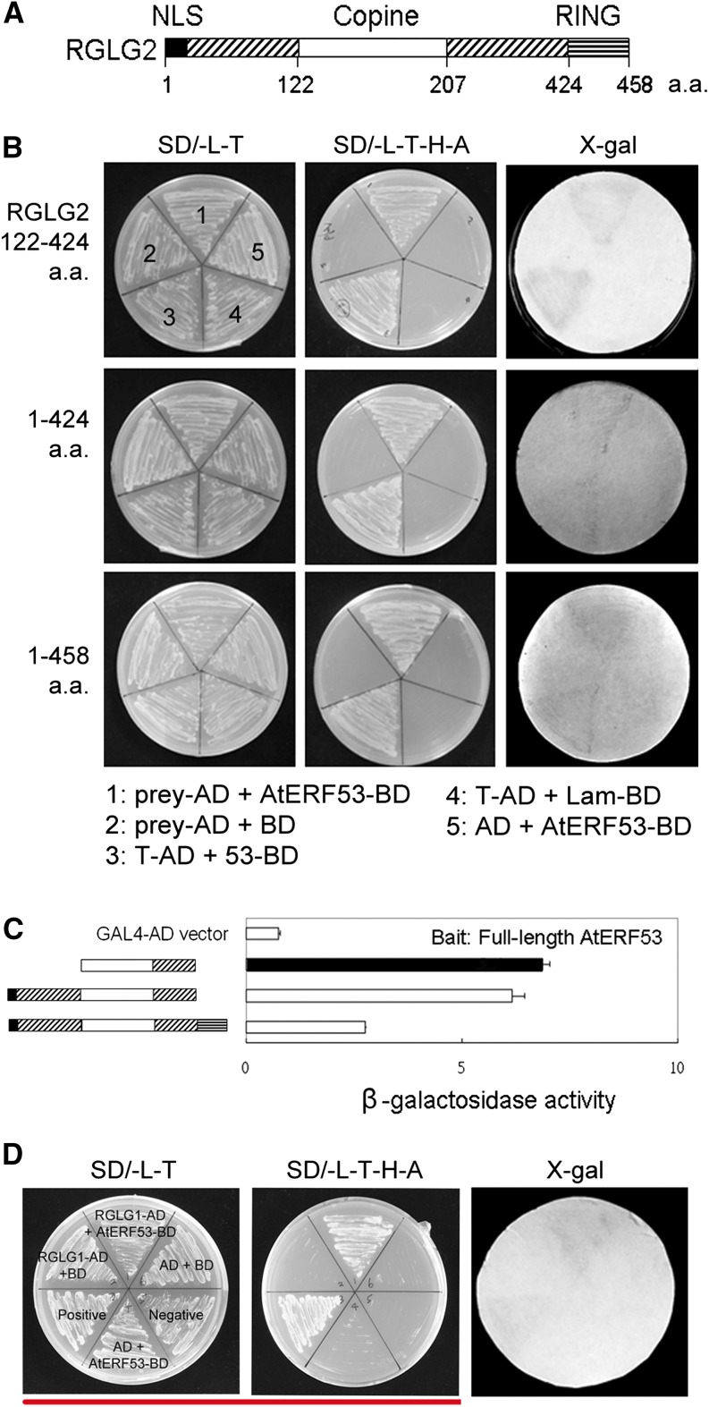 Figure 3.