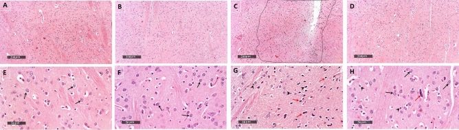 Fig. 7