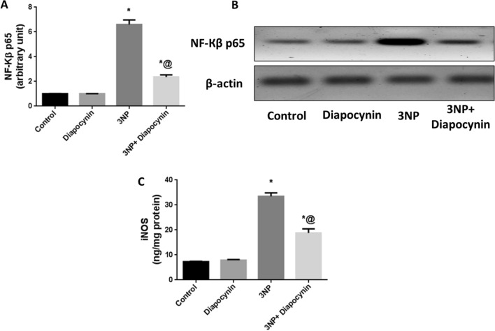 Fig. 4