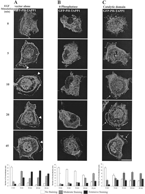 Figure 10.