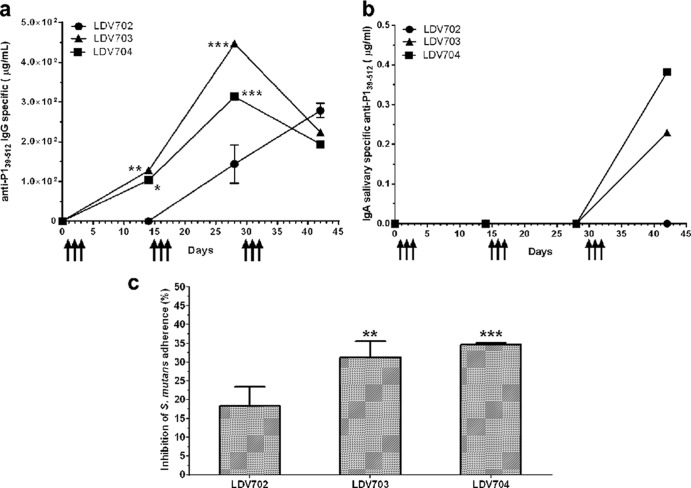 FIG 3