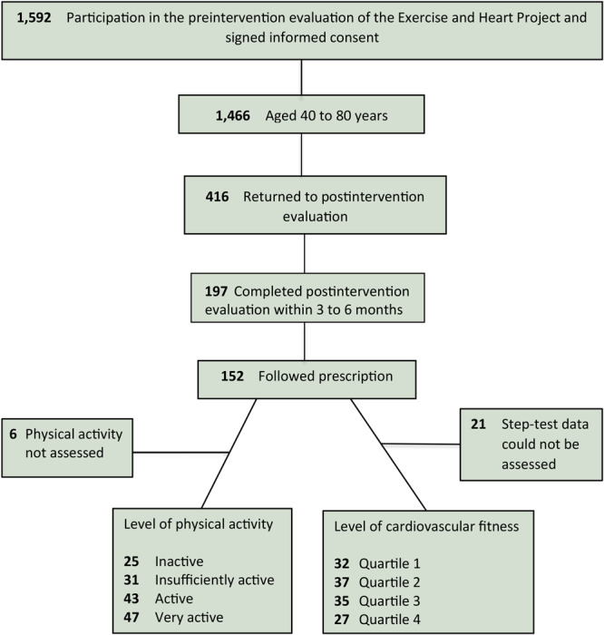 In the preintervention evaluation of the Exercise and Heart Project, signed informed consent was available for 1,592 participants. Of the participants, 1,466 were aged 40 to 80 years. Of those, 416 returned to the postintervention evaluation, and 197 of those completed the postintervention evaluation within 3 to 6 months. Of the 197, there were 152 who followed the prescription. Regarding physical activity, 25 were inactive, 31 were insufficiently active, 43 were active, and 47 were very active; physical activity was not assessed for 6 participants. Regarding cardiovascular fitness, there were 32 in the first quartile, 37 in the second quartile, 35 in the third quartile, and 27 in the fourth quartile; test data could not be assessed for 21 participants.