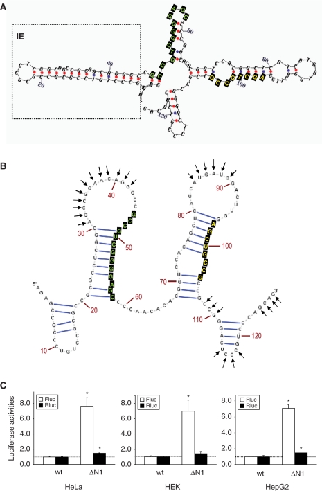 Figure 4.