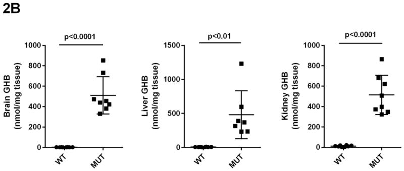 Fig 2A–2E