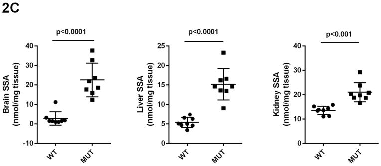 Fig 2A–2E