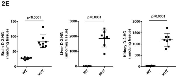 Fig 2A–2E