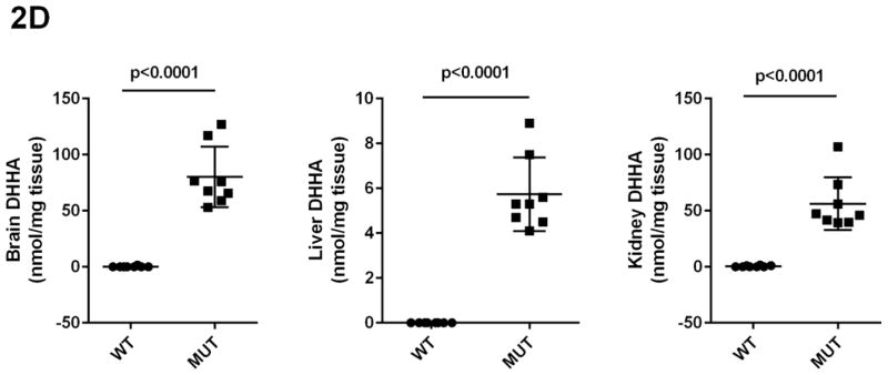 Fig 2A–2E