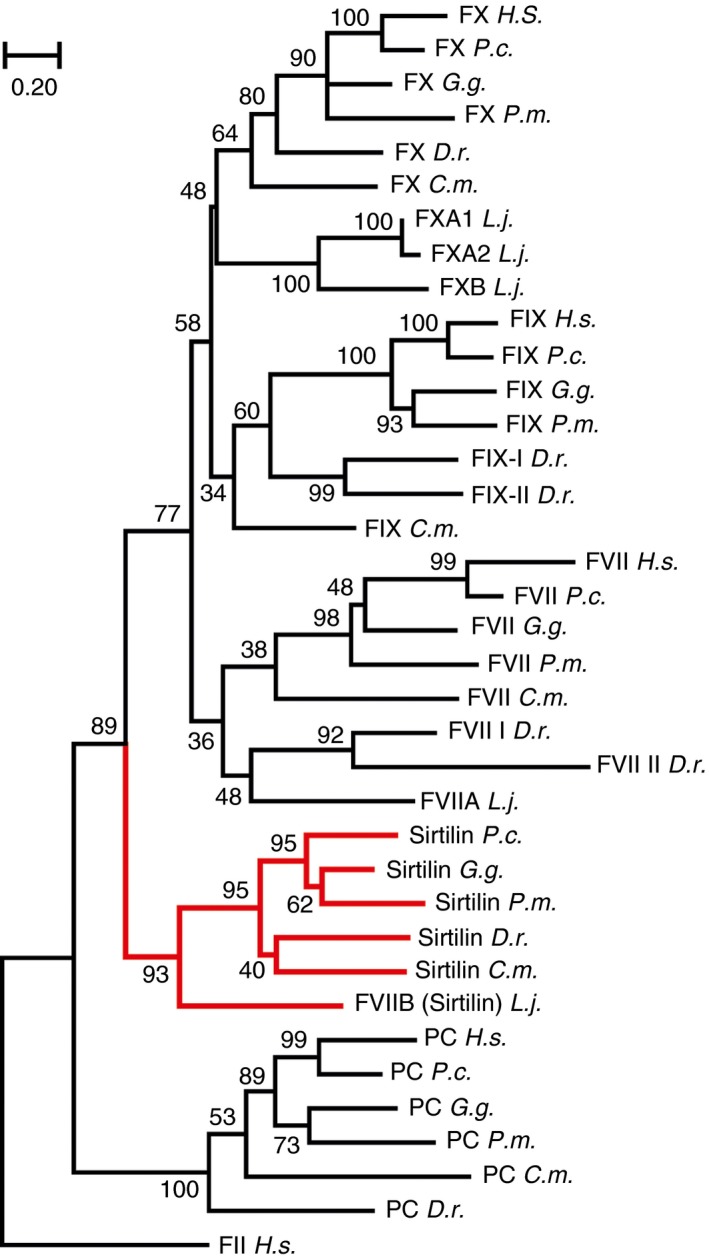 Figure 2