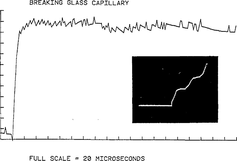 Figure 36