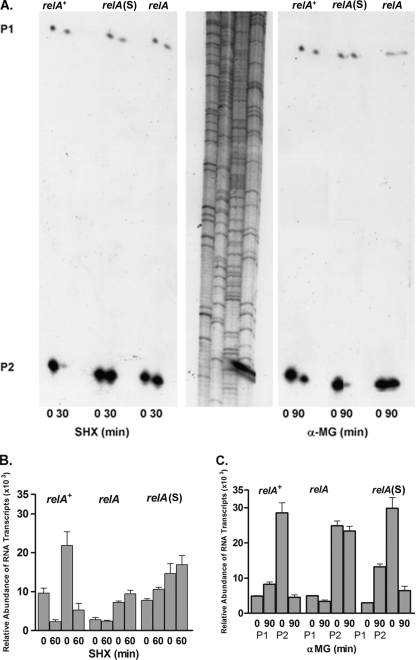 FIG. 4.