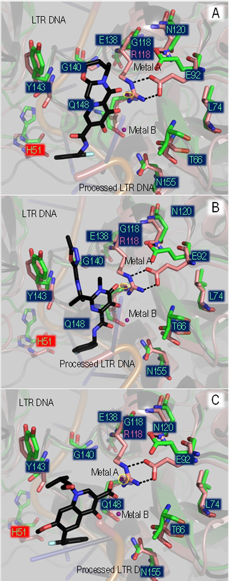 Fig 8