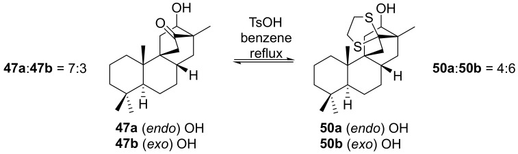 Scheme 8