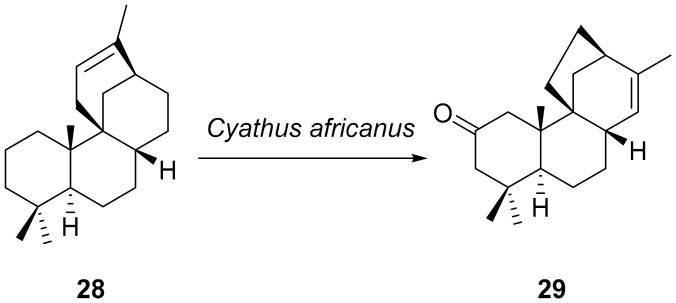 Scheme 3