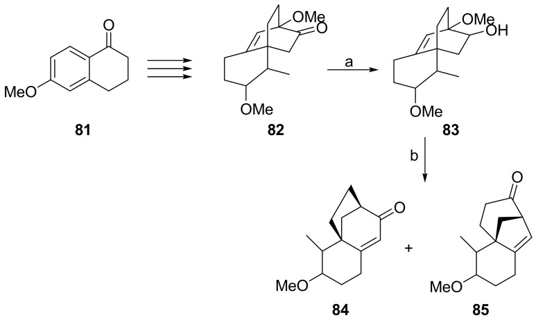 Scheme 13