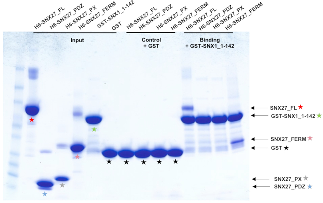 Figure 3.