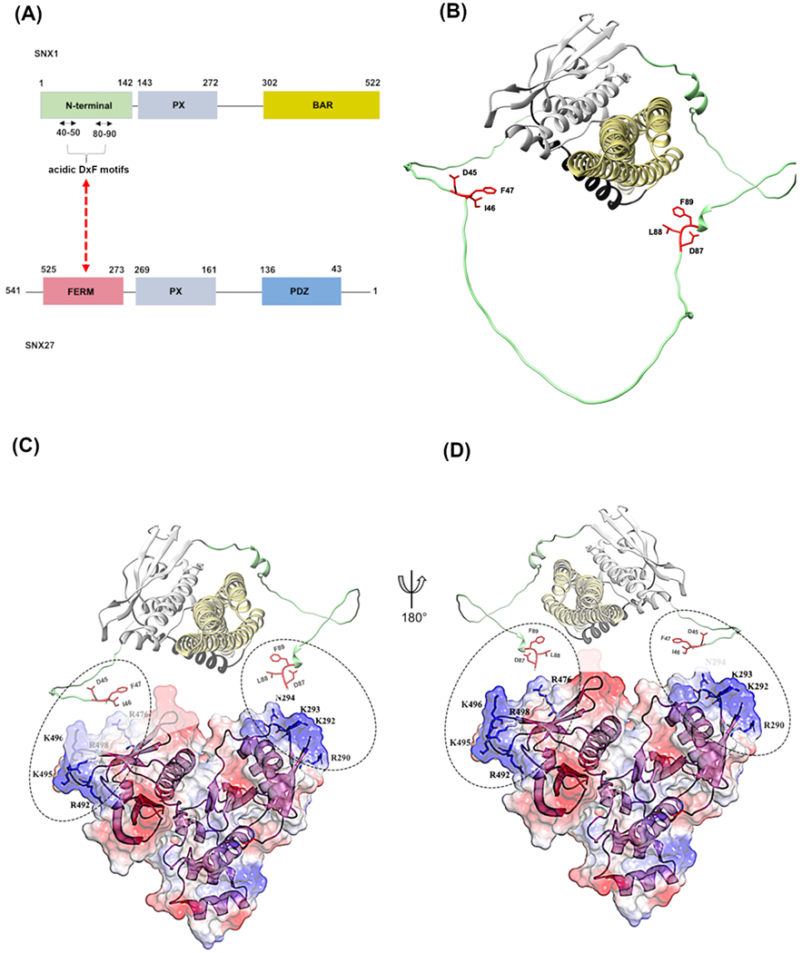 Figure 5.