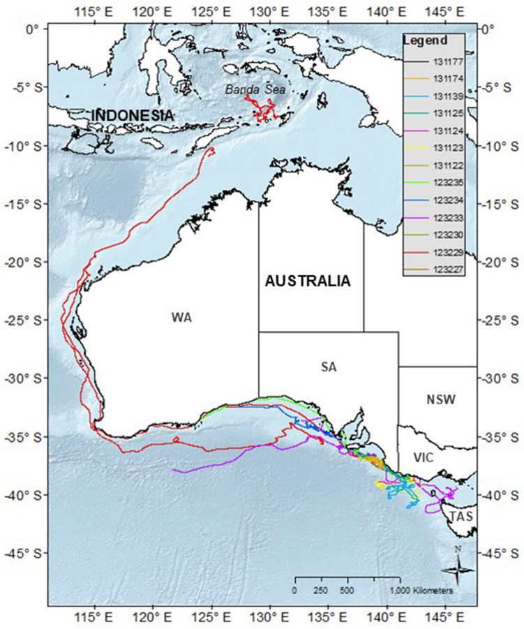 Figure 2