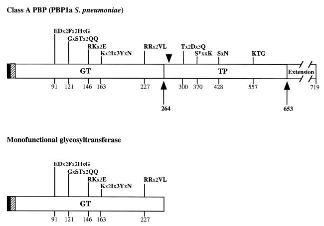 FIG. 1