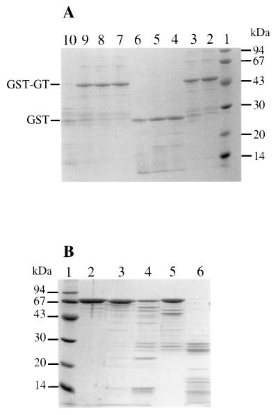 FIG. 6