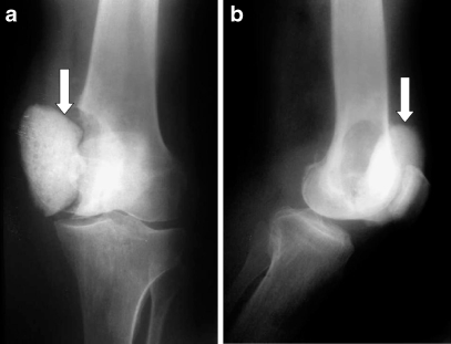 Fig. 7