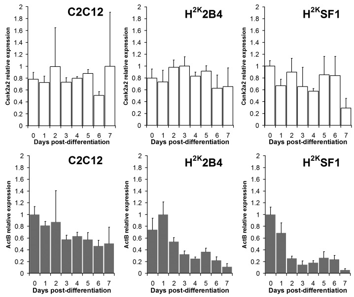 Csnk2a2 vs ActB : raw expression data