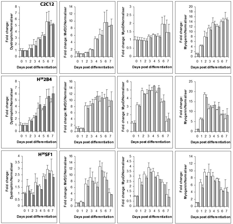 Normalizing with Csnk2a2 alone vs Csnk2a2 and Ap3d1