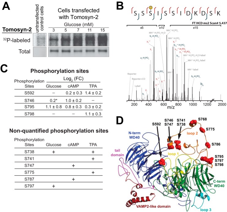 FIGURE 2.