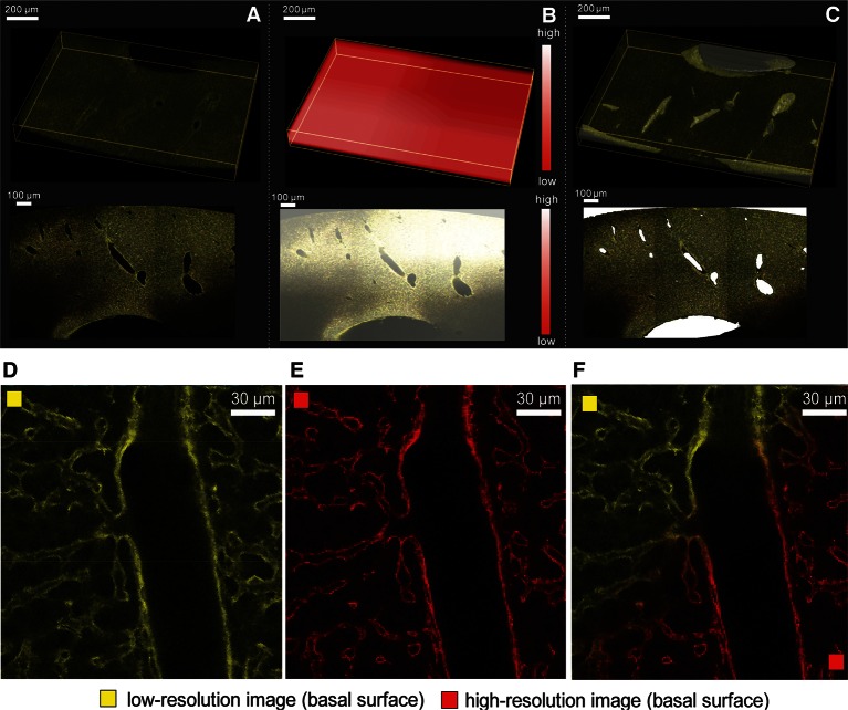 Figure 2—figure supplement 2.