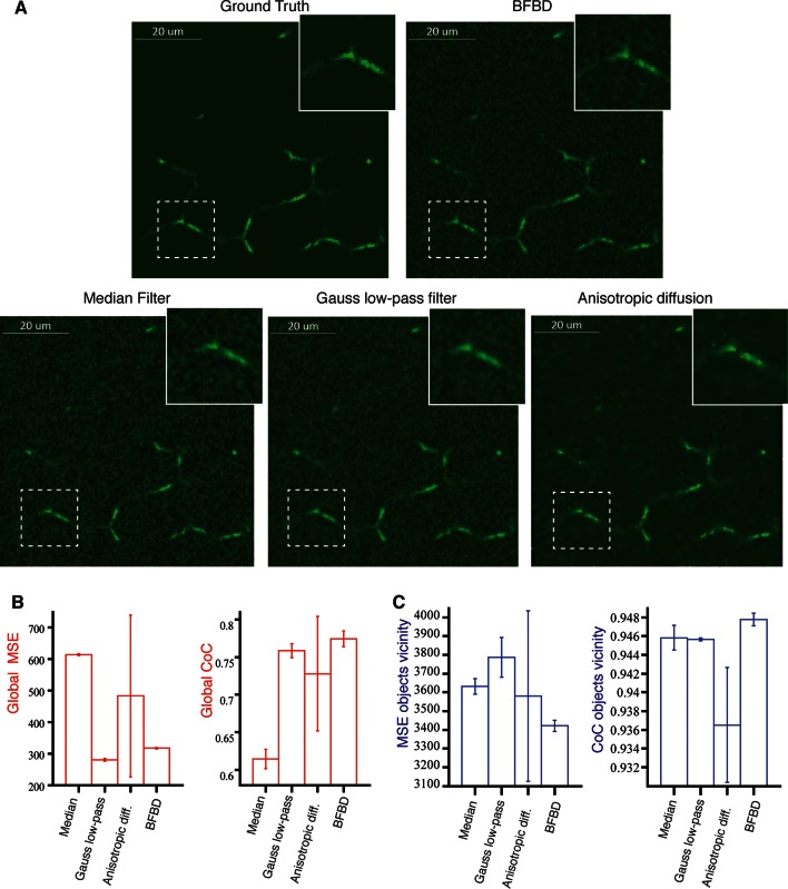 Figure 1—figure supplement 4.