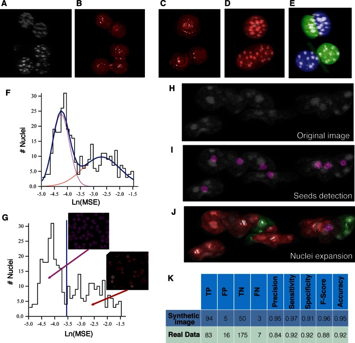 Figure 3—figure supplement 1.