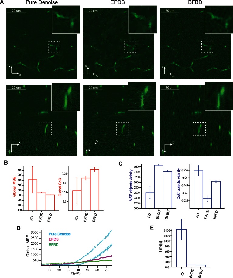 Figure 1—figure supplement 5.