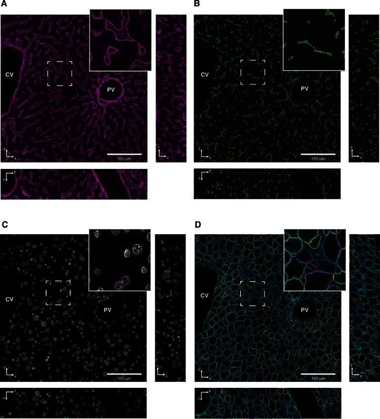 Figure 3—figure supplement 4.